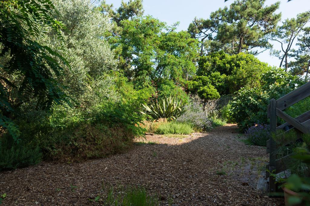 Le Lodge Du Cap Ferret Леж-Кап-Ферре Екстер'єр фото